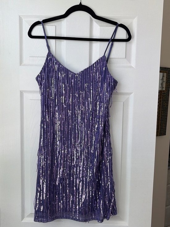 Francesca's Collections Dresses & Skirts - mi ami Purple Sequin Fringe Slip